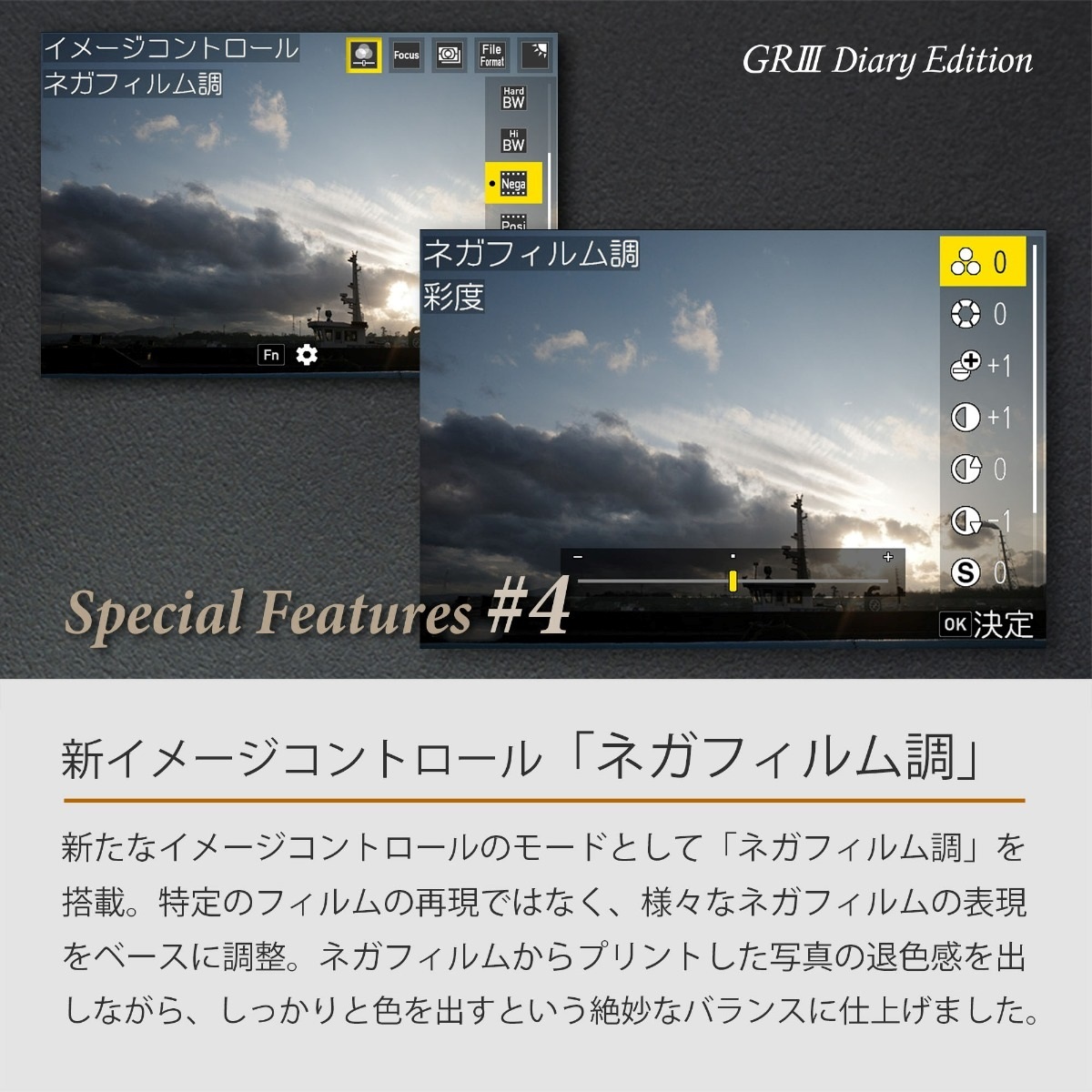 ＊RICOH GR III Diary Edition  [安心の3年保証]