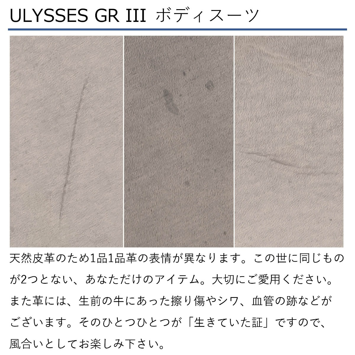 ULYSSES(ユリシーズ) GR III ボディースーツ プルーニャ